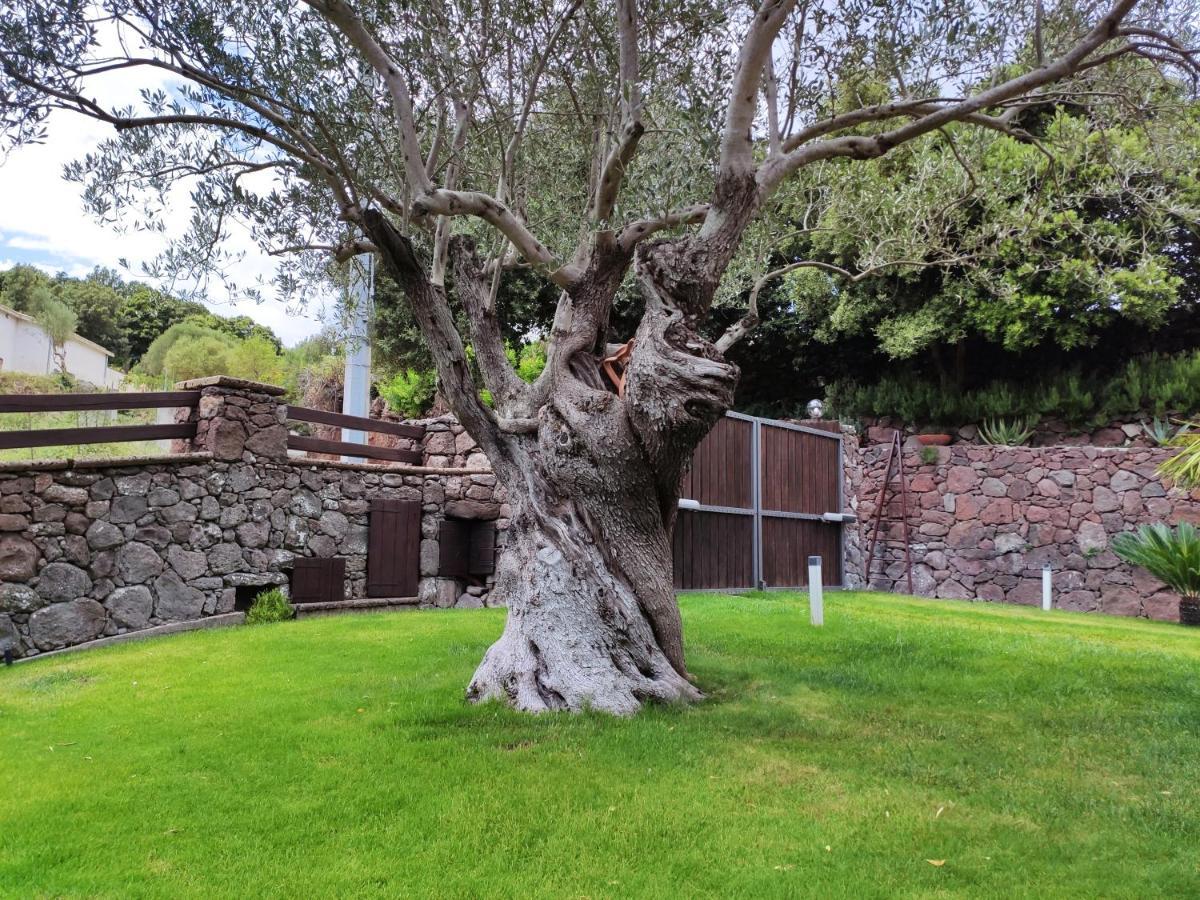 Villa Casa Bados Dorgali Exterior foto